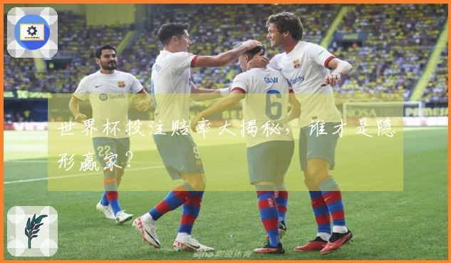 世界杯投注赔率大揭秘，谁才是隐形赢家？