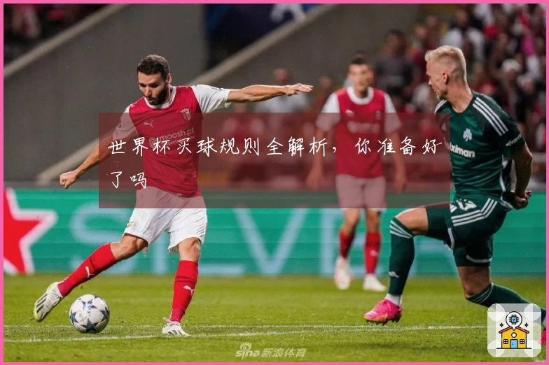 世界杯买球规则全解析，你准备好了吗
