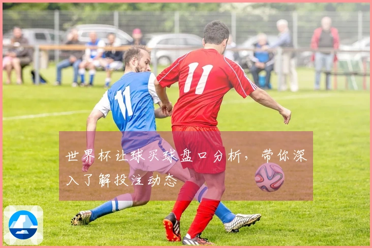 世界杯让球买球盘口分析，带你深入了解投注动态