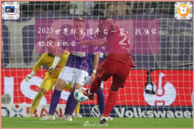 2023世界杯竞猜平台一览，找准你的投注机会