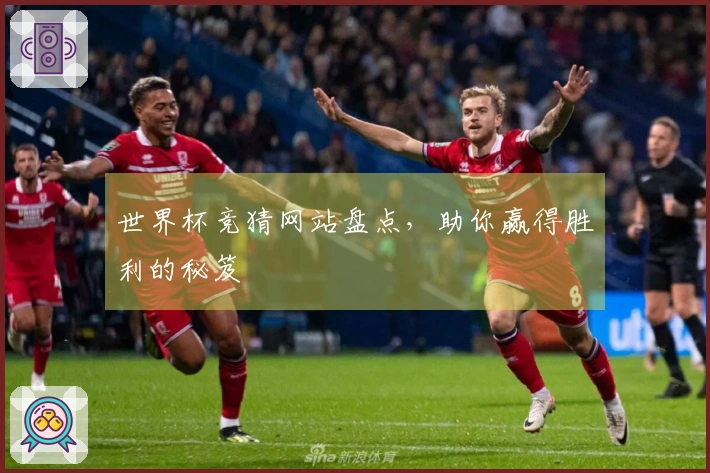 世界杯竞猜网站盘点，助你赢得胜利的秘笈
