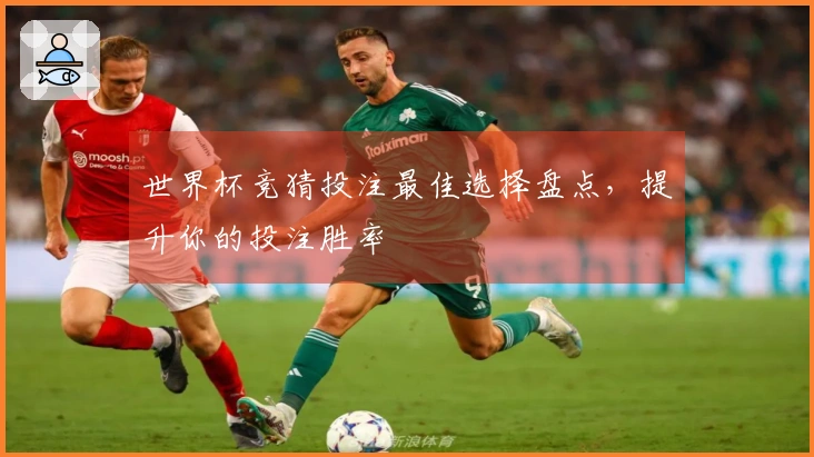世界杯竞猜投注最佳选择盘点，提升你的投注胜率